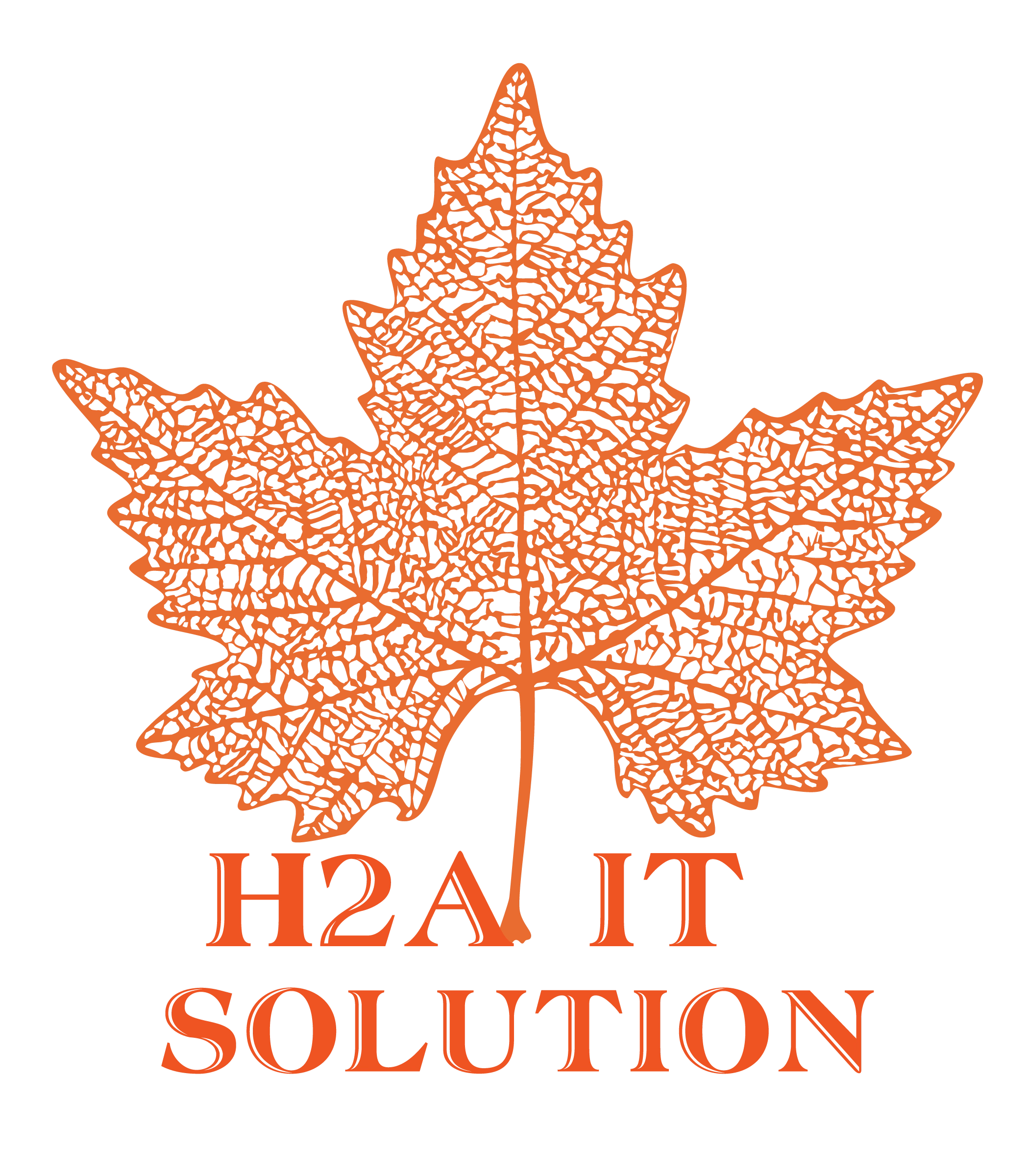 H2A IT Solution